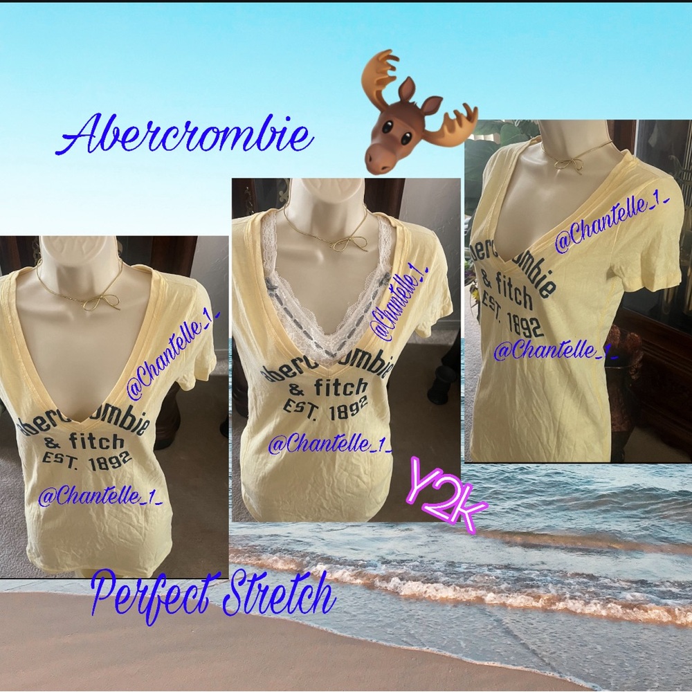 Y2K Abercrombie Perfect stretch V-Neck short sleeve top❣️